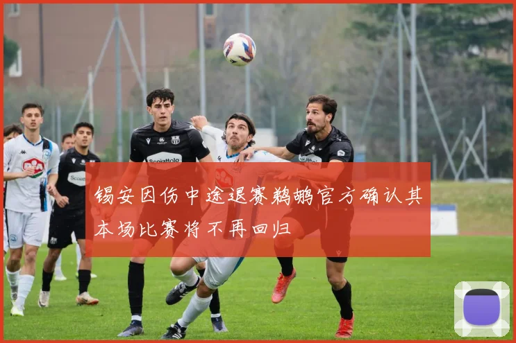 锡安因伤中途退赛鹈鹕官方确认其本场比赛将不再回归