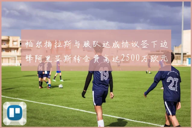 帕尔梅拉斯与狼队达成协议签下边锋阿里亚斯转会费高达2500万欧元