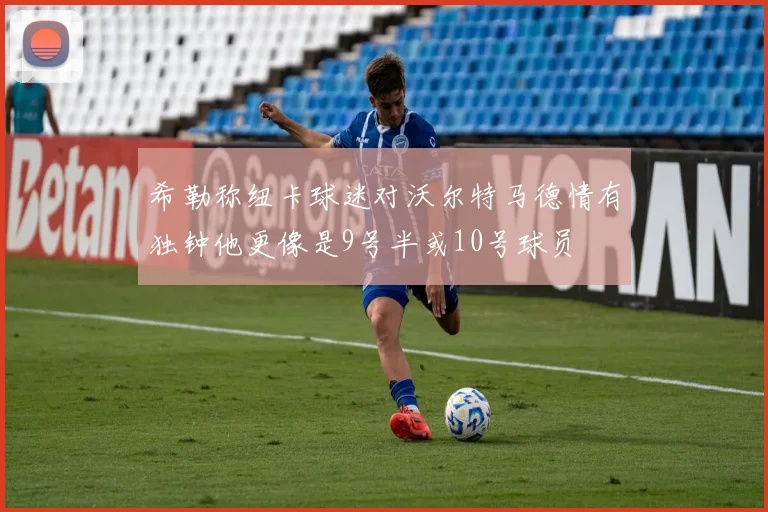 希勒称纽卡球迷对沃尔特马德情有独钟他更像是9号半或10号球员